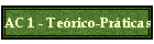 AC 1 - Terico-Prticas